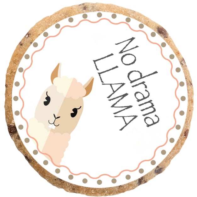 "No Drama Llama" MotivKEKS